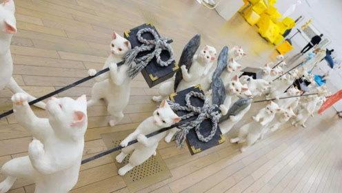 娱乐吃瓜君宠物